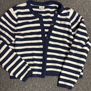 J. Crew Factory Navy and White Striped Sweater